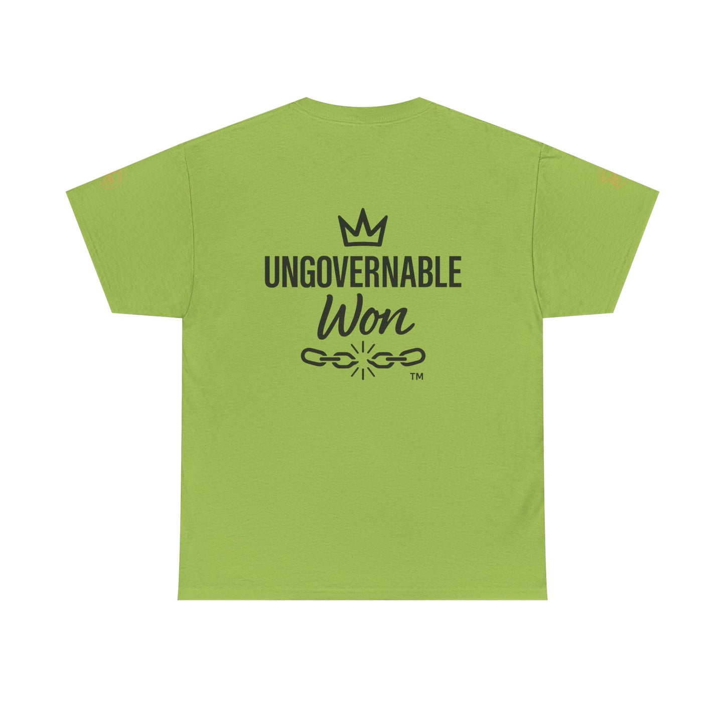 ELEVATED STANDARDS Tee