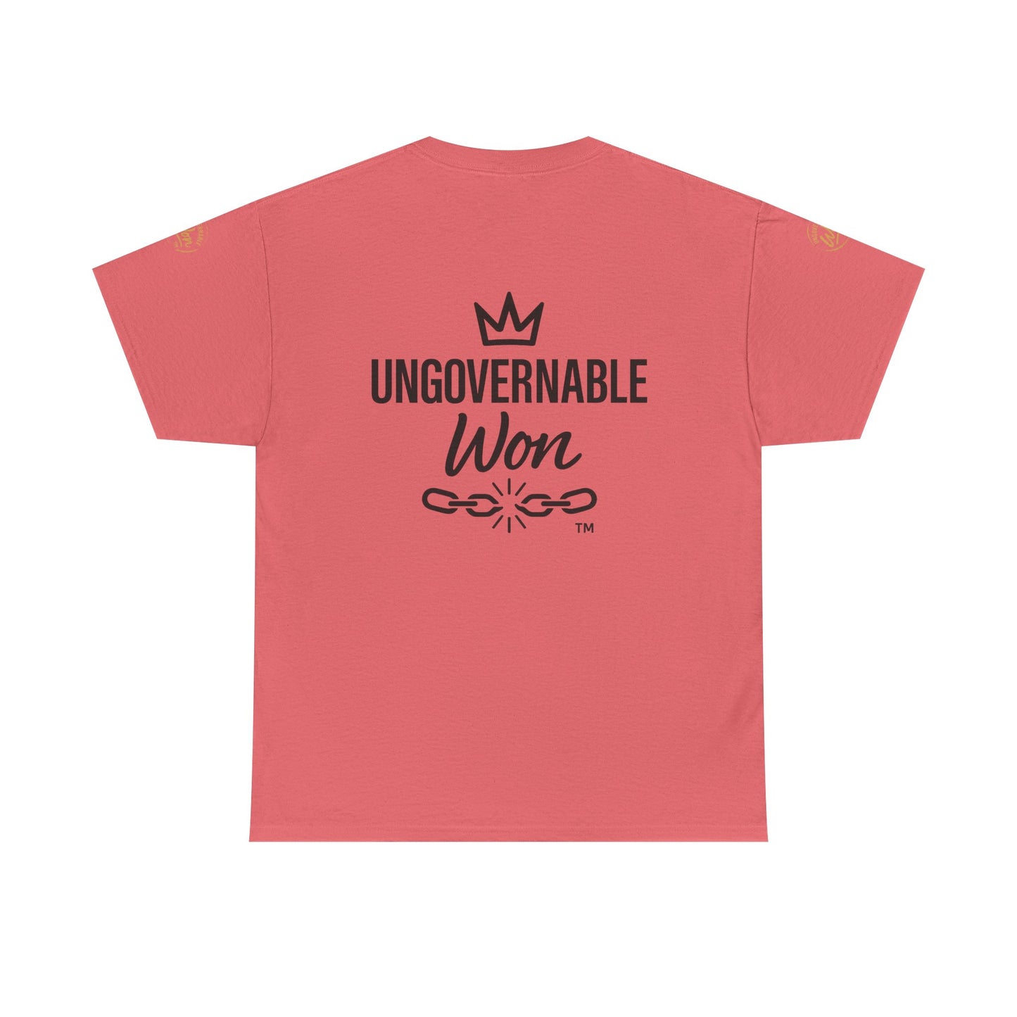 ELEVATED STANDARDS Tee
