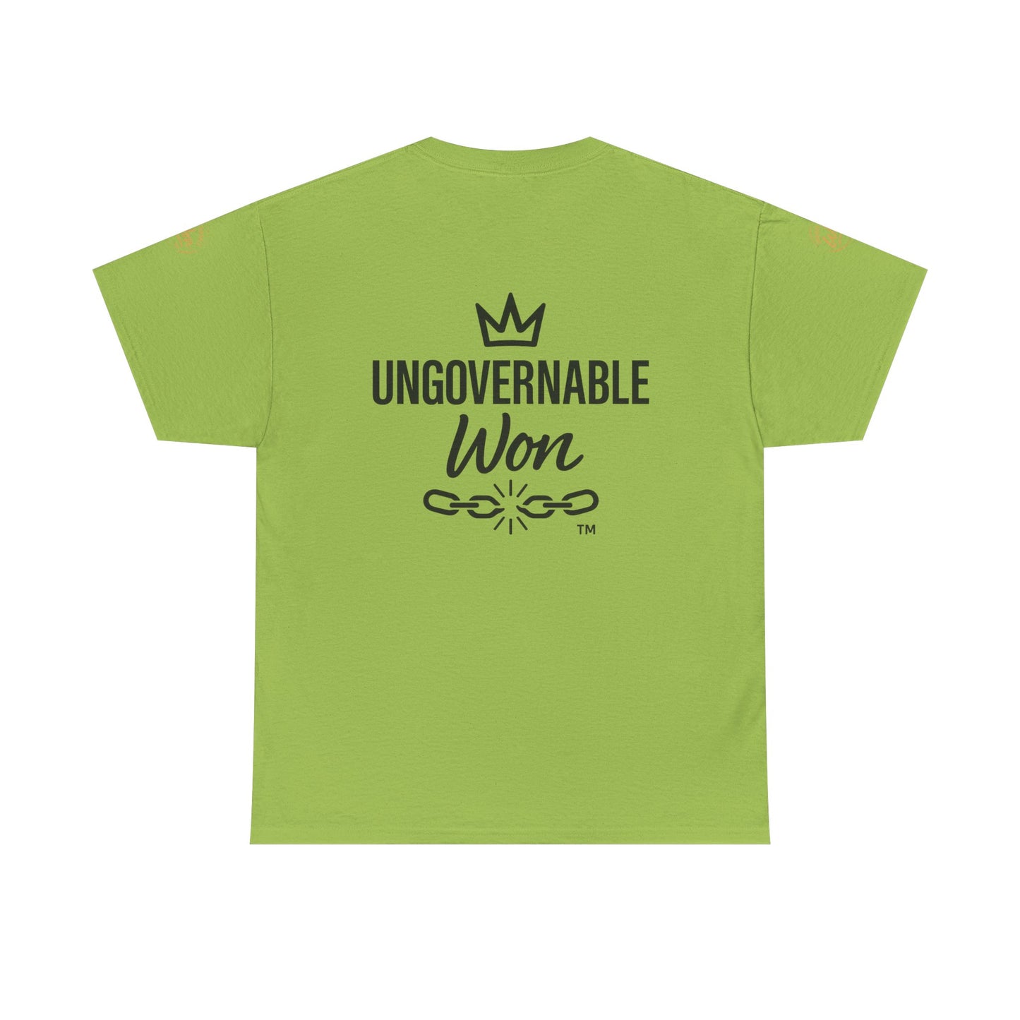 ELEVATED STANDARDS Tee